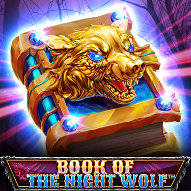 Book Of The Night Wolf